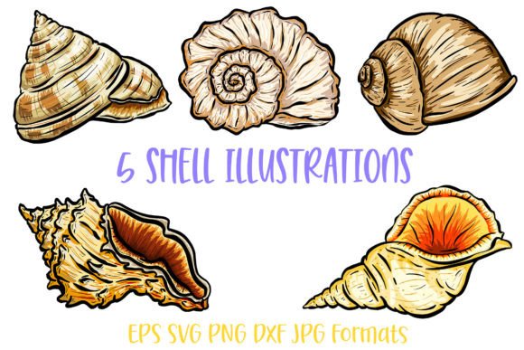5 Seashell Shell Illustration SVG Logo Review for Real Projects